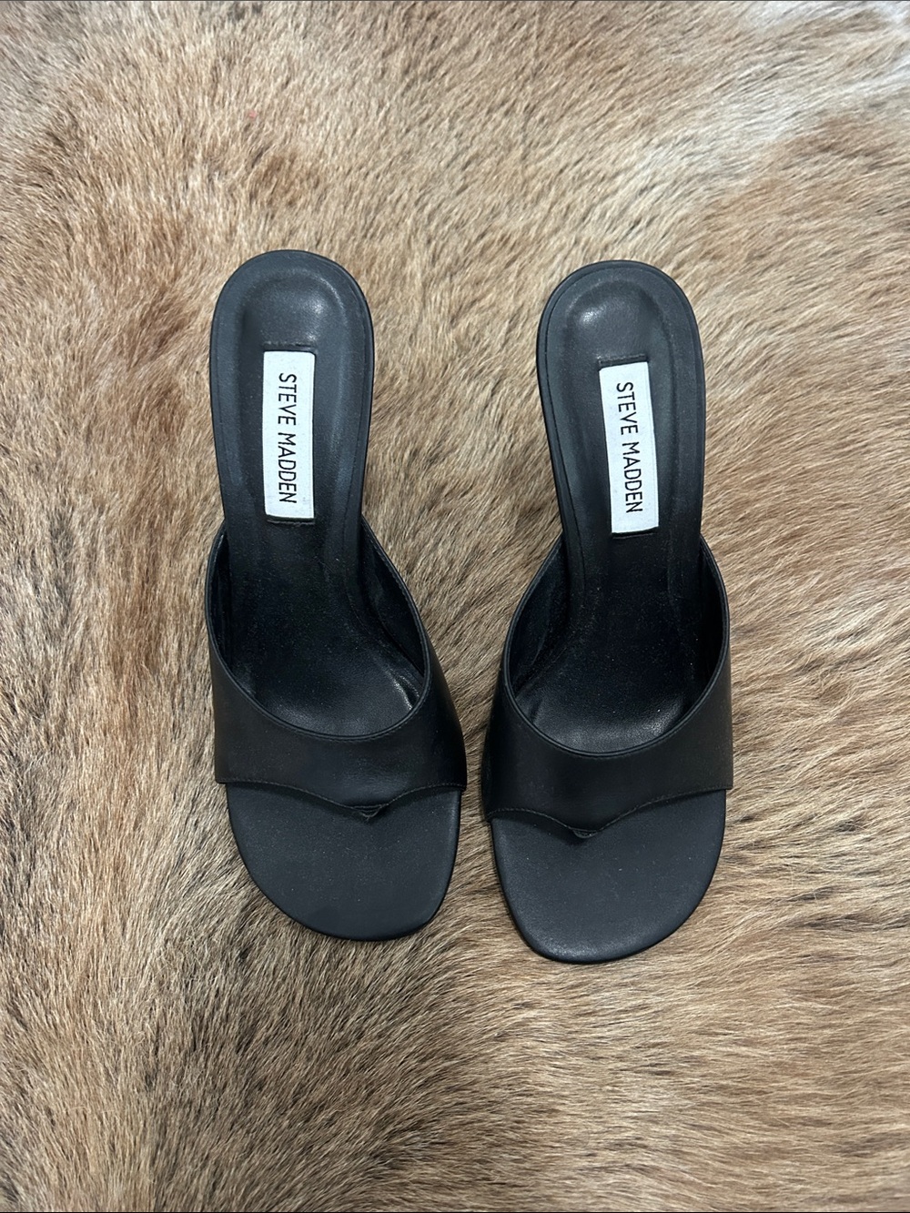 Brand New - Steve Madden Black Heels
